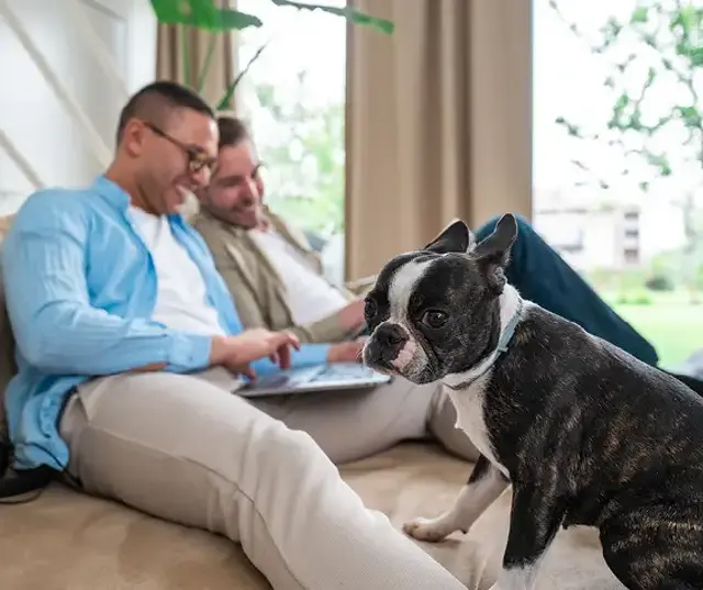 Pets by Consent: Why this is the best option